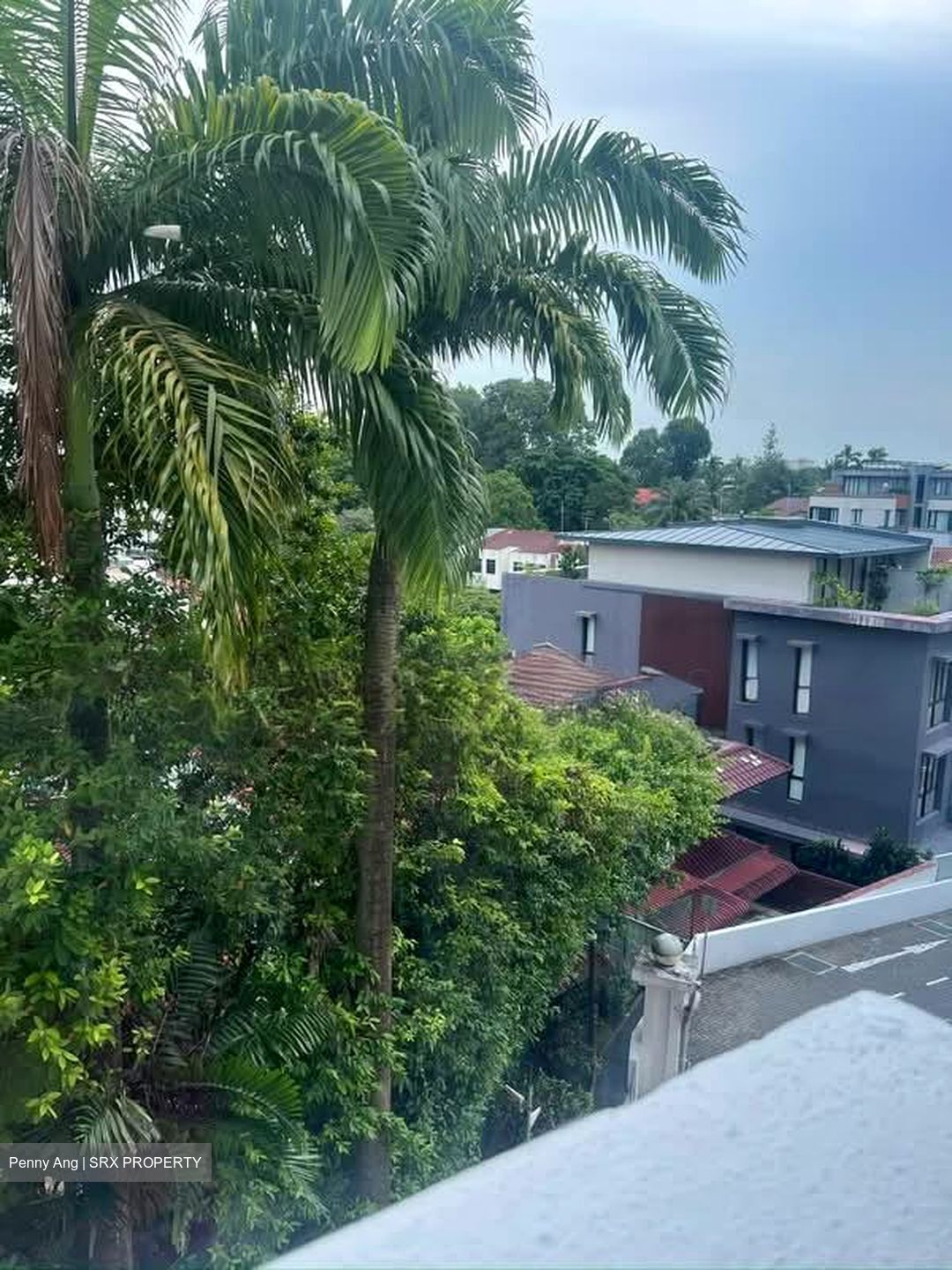 Shelford Regency (D11), Condominium #586771341